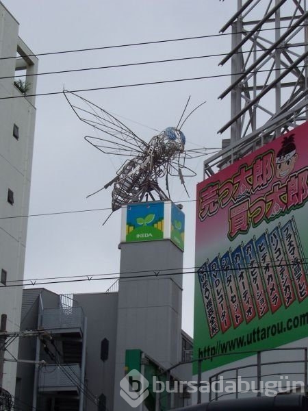 Japonya'yı bir de böyle görün!