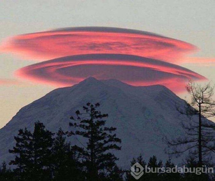 Günün en çok paylaşılan fotoğrafları

