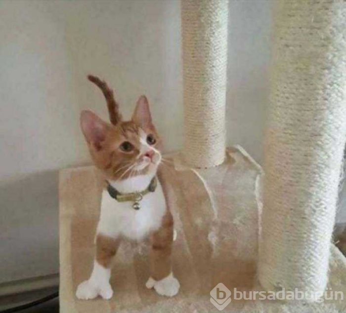 Günün en çok paylaşılan fotoğrafları
