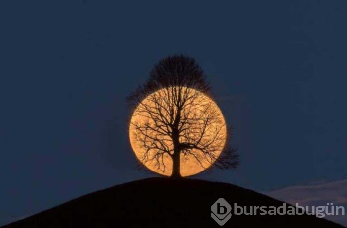 Günün en çok paylaşılan fotoğrafları
