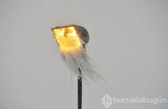 Günün en çok paylaşılan fotoğrafları
