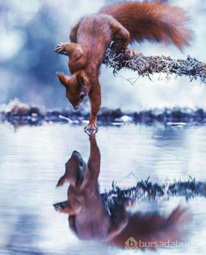 Günün en çok paylaşılan fotoğrafları
