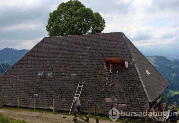 Günün en çok paylaşılan fotoğrafları

