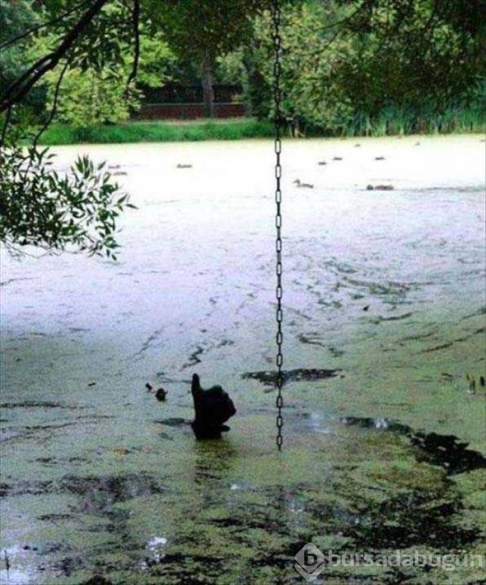 Günün en çok paylaşılan fotoğrafları
