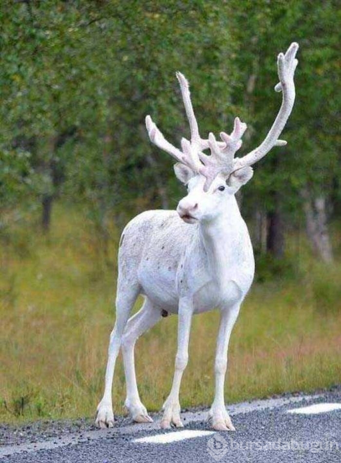 Günün en çok paylaşılan fotoğrafları

