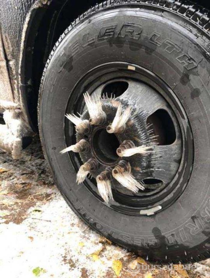 Günün en çok paylaşılan fotoğrafları

