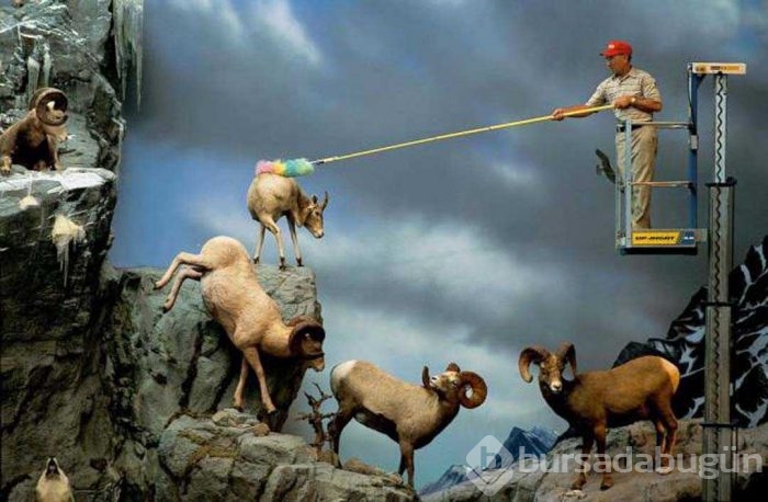Günün en çok paylaşılan fotoğrafları
