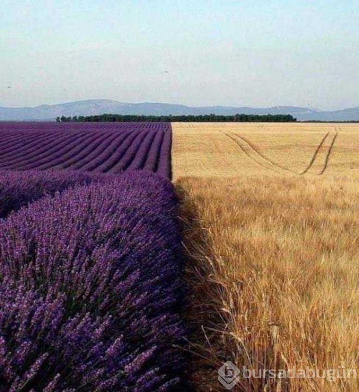 Günün en çok paylaşılan fotoğrafları
