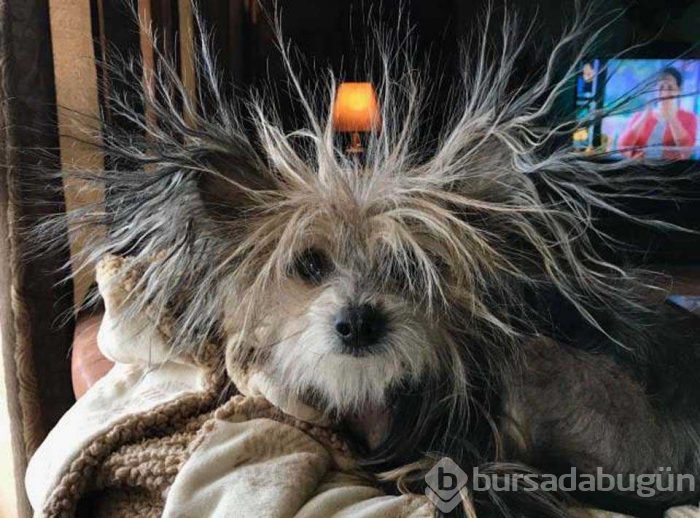 Günün en çok paylaşılan fotoğrafları
