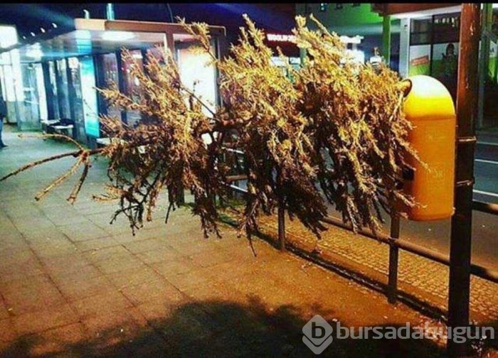 Günün en çok paylaşılan fotoğrafları

