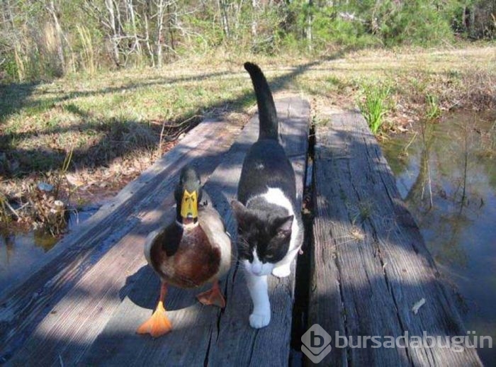 Günün en çok paylaşılan fotoğrafları
