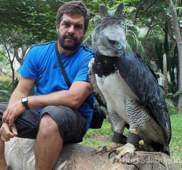 Günün en çok paylaşılan fotoğrafları
