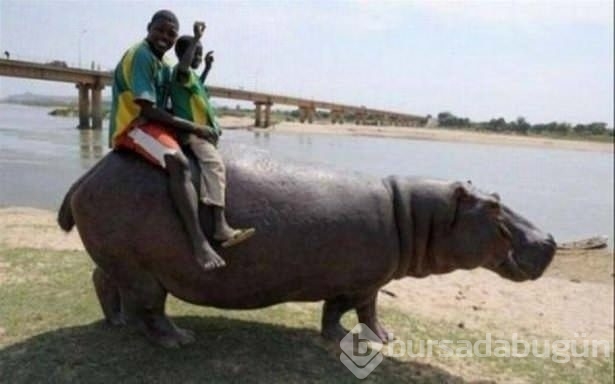 Afrika'dan ilginç kareler!