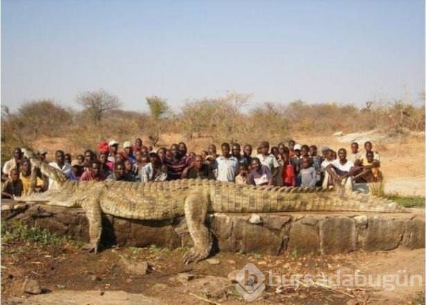 Afrika'dan ilginç kareler!