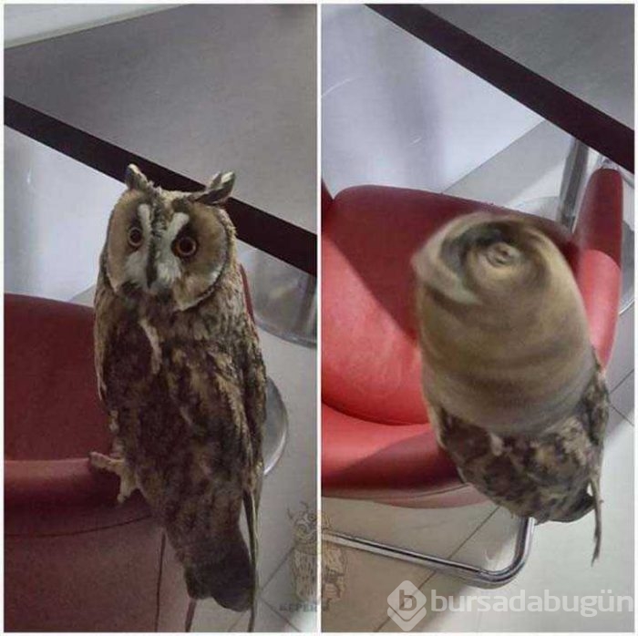 Günün en çok paylaşılan fotoğrafları