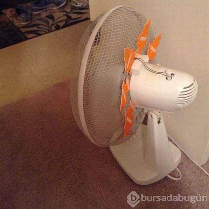Günün en çok paylaşılan fotoğrafları