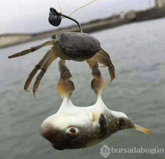 Günün en çok paylaşılan fotoğrafları