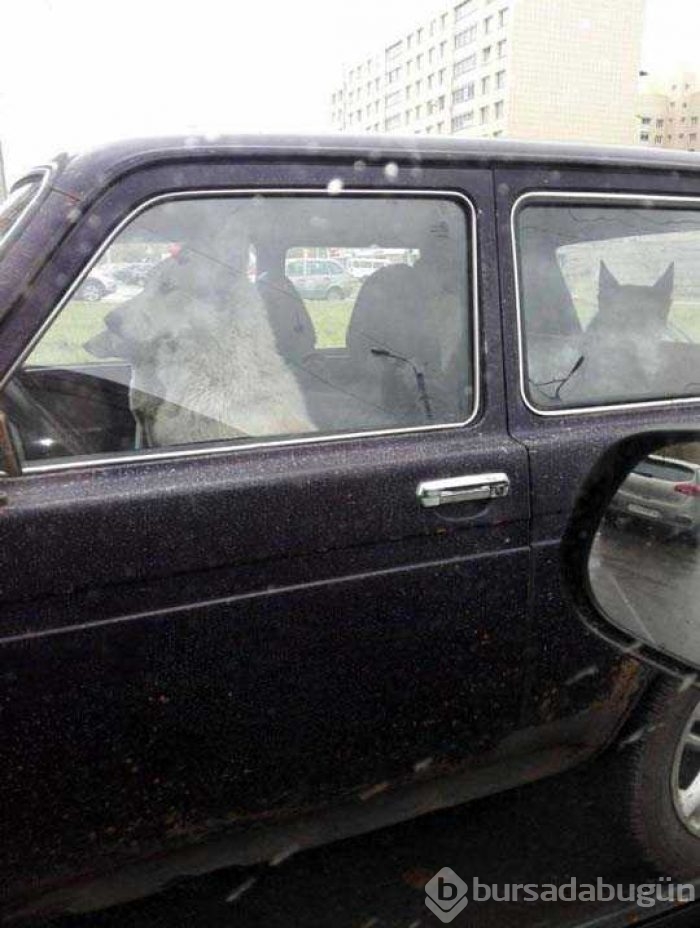 Günün en çok paylaşılan fotoğrafları