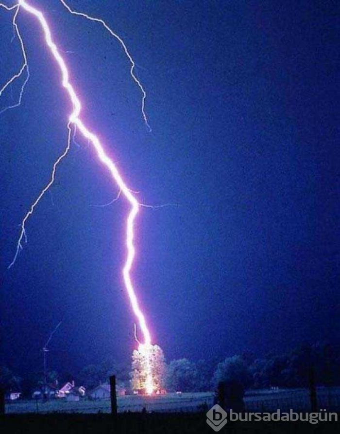 Günün en çok paylaşılan fotoğrafları