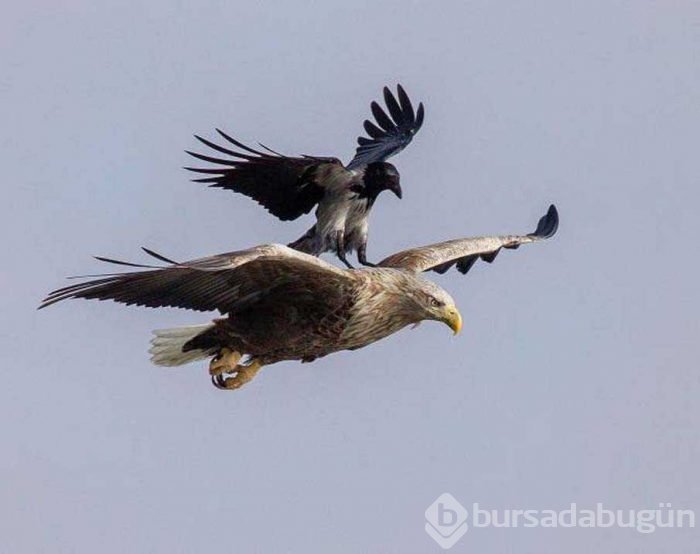 Günün en çok paylaşılan fotoğrafları