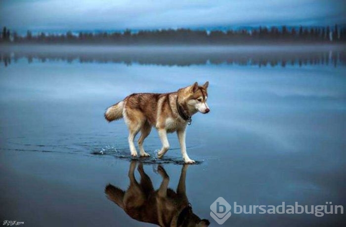 Günün en çok paylaşılan fotoğrafları