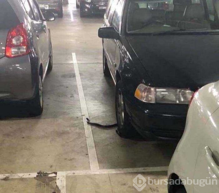 Günün en çok paylaşılan fotoğrafları