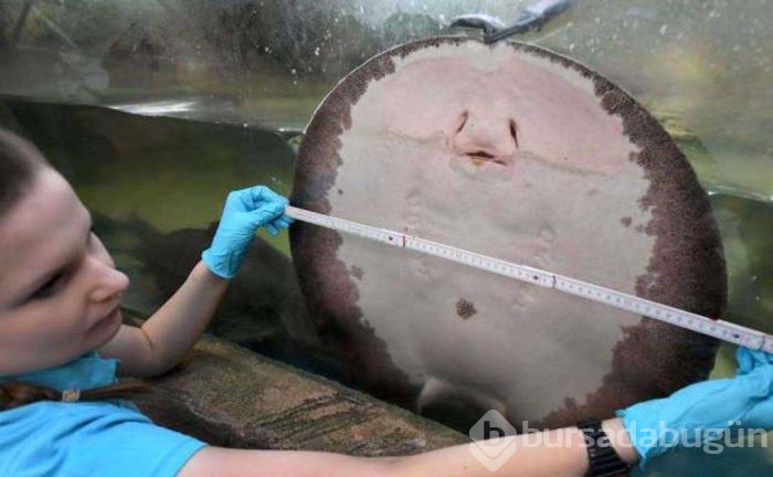 Günün en çok paylaşılan fotoğrafları