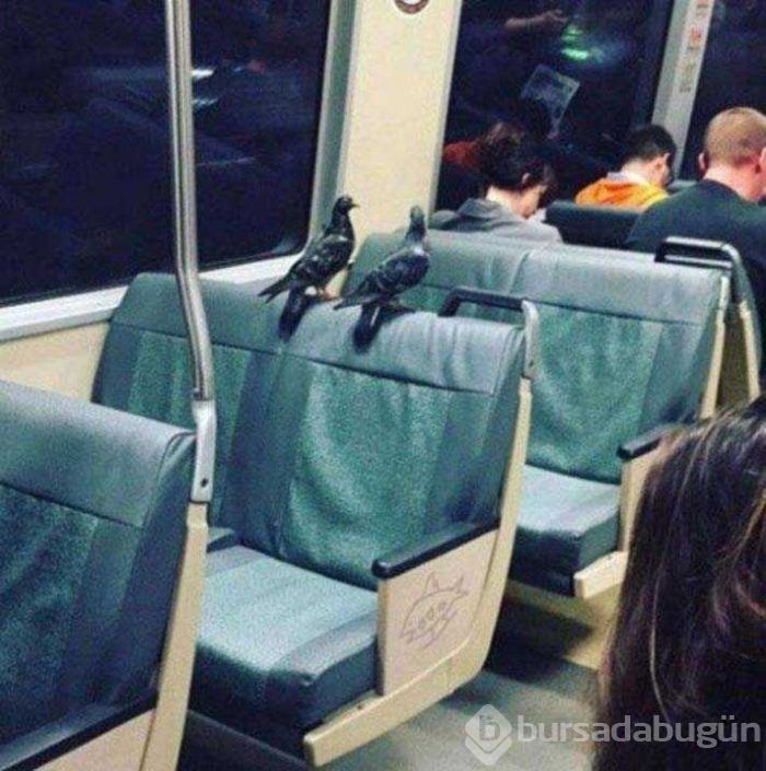Günün en çok paylaşılan fotoğrafları