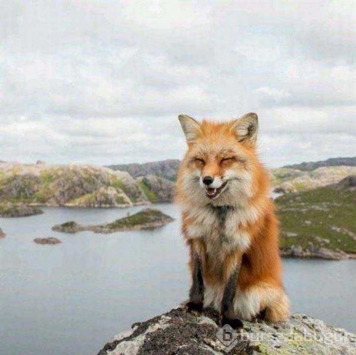 Günün en çok paylaşılan fotoğrafları
