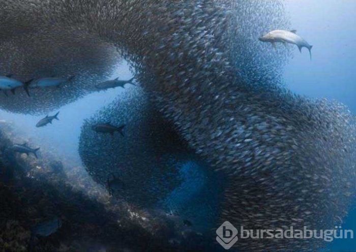 Günün en çok paylaşılan fotoğrafları