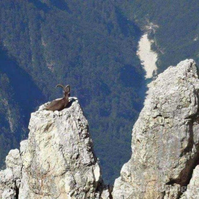 Günün en çok paylaşılan fotoğrafları