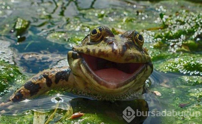 Günün en çok paylaşılan fotoğrafları