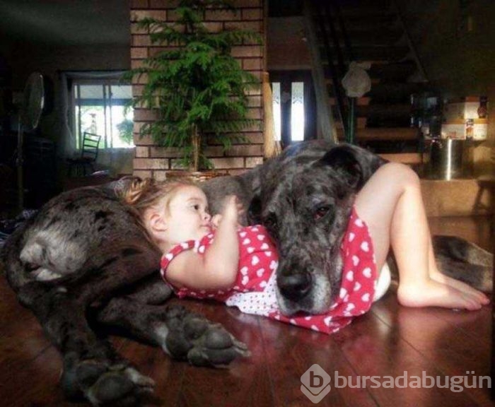 Günün en çok paylaşılan fotoğrafları