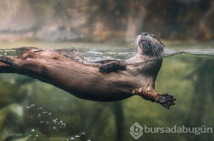 Günün en çok paylaşılan fotoğrafları