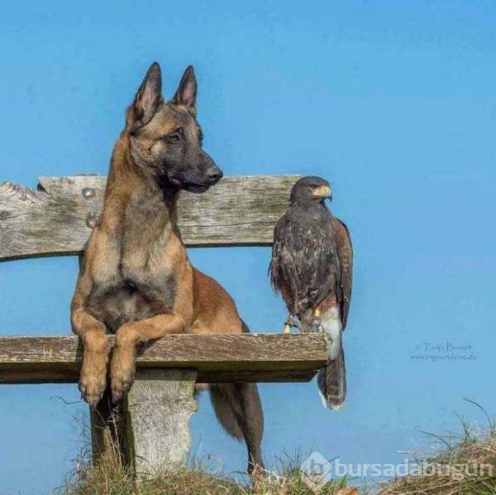 Günün en çok paylaşılan fotoğrafları