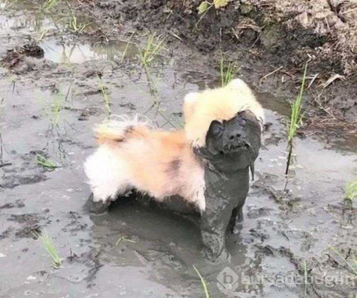 Günün en çok paylaşılan fotoğrafları