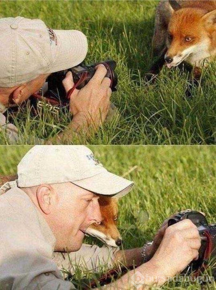 Günün en çok paylaşılan fotoğrafları