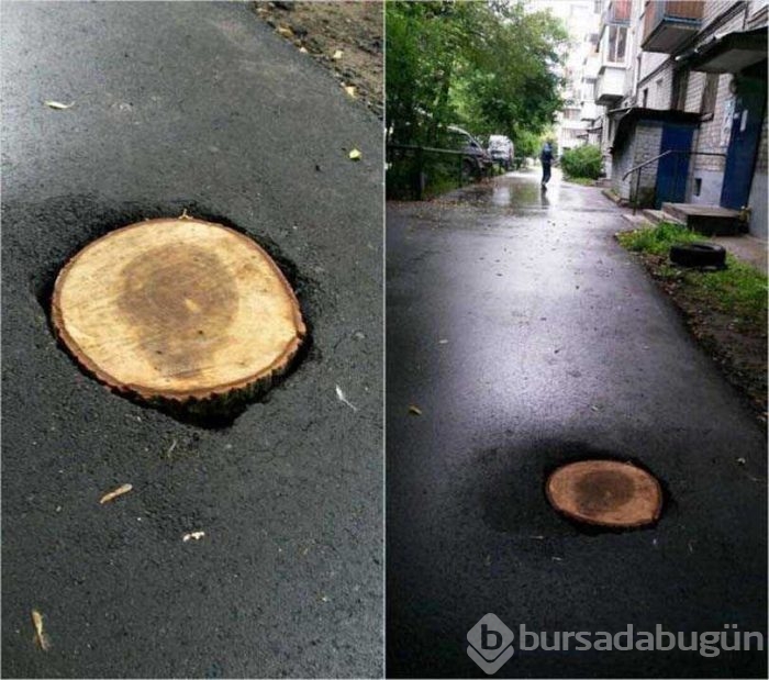 Günün en çok paylaşılan fotoğrafları