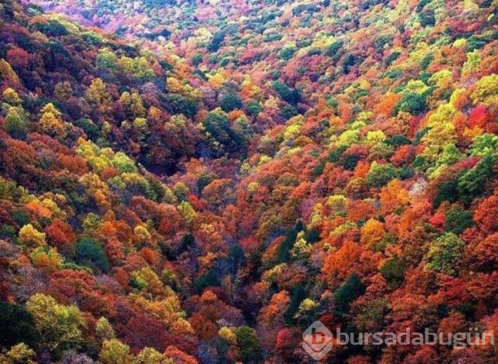 Günün en çok paylaşılan fotoğrafları