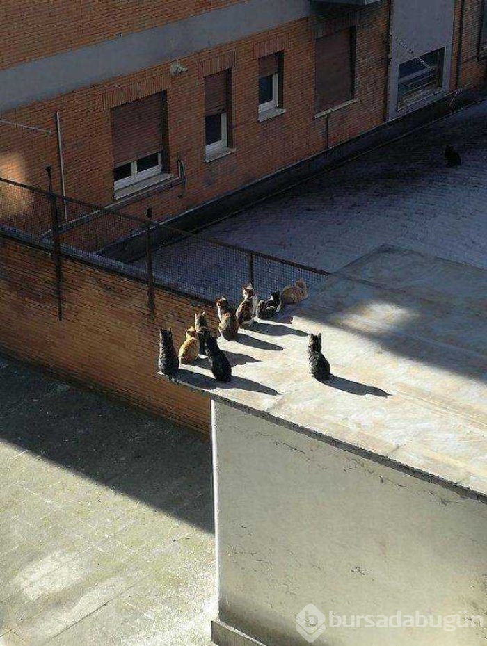 Günün en çok paylaşılan fotoğrafları