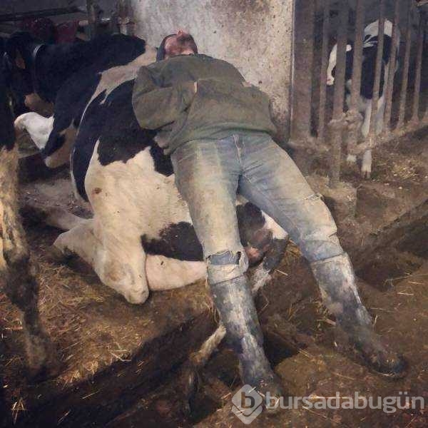 Günün en çok paylaşılan fotoğrafları