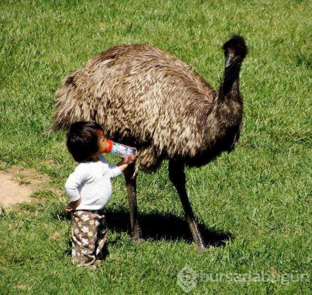 Günün en çok paylaşılan fotoğrafları