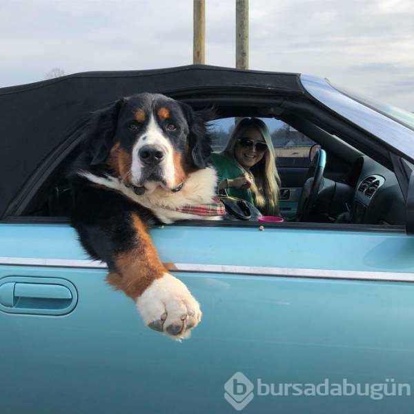 Günün en çok paylaşılan fotoğrafları