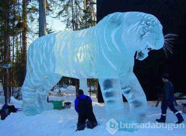 Günün en çok paylaşılan fotoğrafları