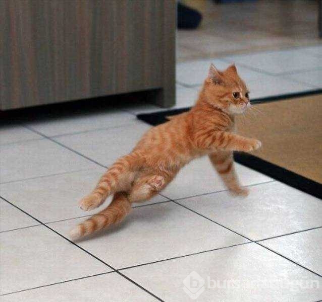 Günün en çok paylaşılan fotoğrafları