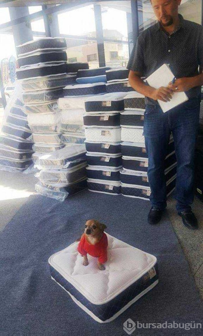 Günün en çok paylaşılan fotoğrafları