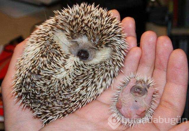 Günün en çok paylaşılan fotoğrafları