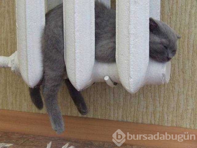 Günün en çok paylaşılan fotoğrafları