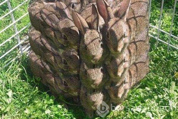 Günün en çok paylaşılan fotoğrafları