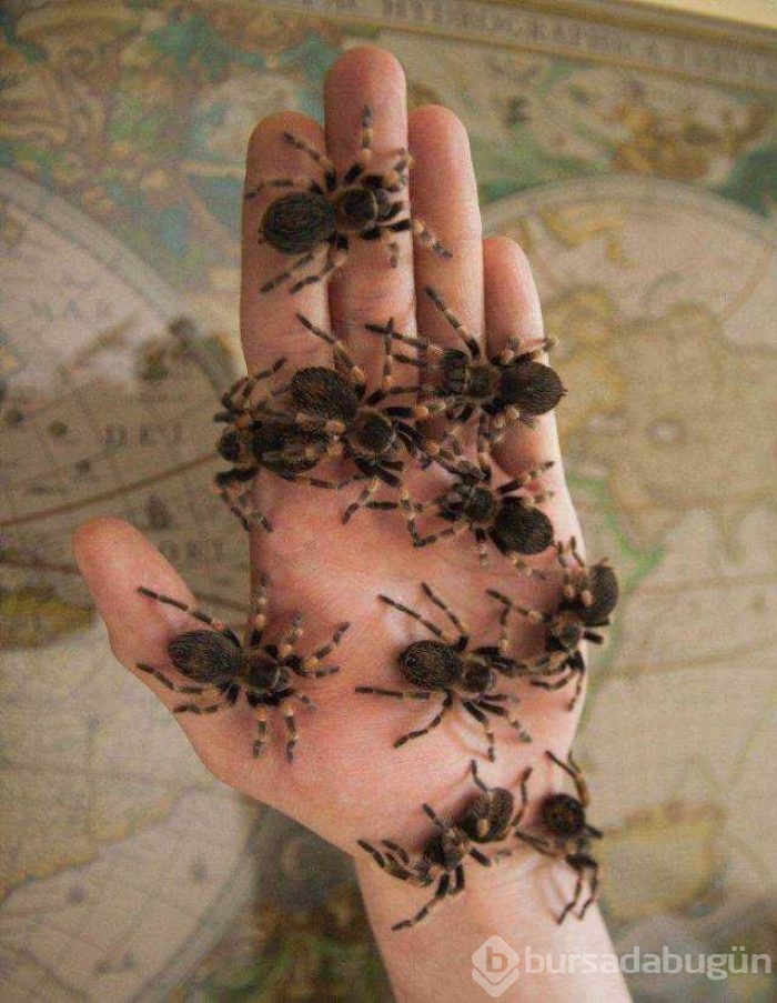Günün en çok paylaşılan fotoğrafları
